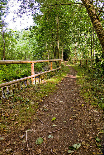 Weg im Nationalpark