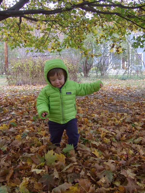 Leaf Play #3