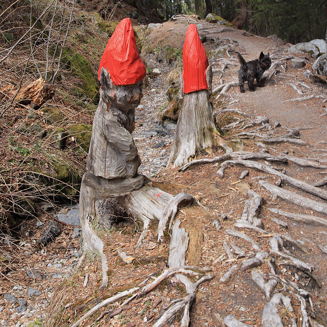 les bonnets rouges