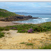 Playa de Galizano