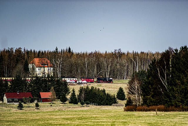 20240319_benneckenstein_spaziergang (d800)