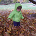 Leaf Play #4