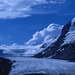 Glacier Athabasca