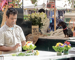 Florist and his dog