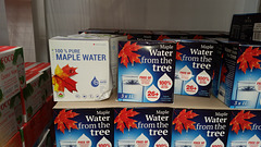 maple water "from the tree"