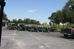 Which cart do you prefer....for your round of Golf ~~Yes, I know, they are all alike :)