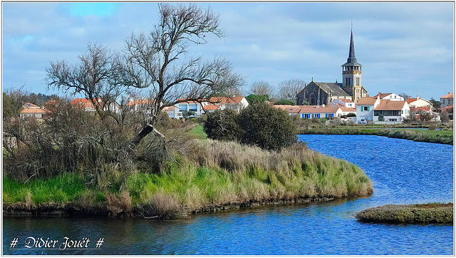 85 - L'île d'Olonne