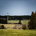 20240319_benneckenstein_spaziergang (d800)