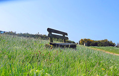 Die Bank im Gras Die Bank im Gras