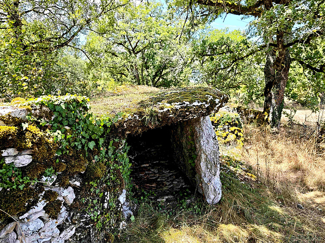 Fontanes-du-Causse  -  Dolmen le Douyounet