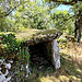 Fontanes-du-Causse  -  Dolmen le Douyounet