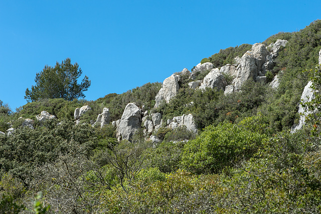 Combe Barboussière - 2015-04-20--D4 DSC0257