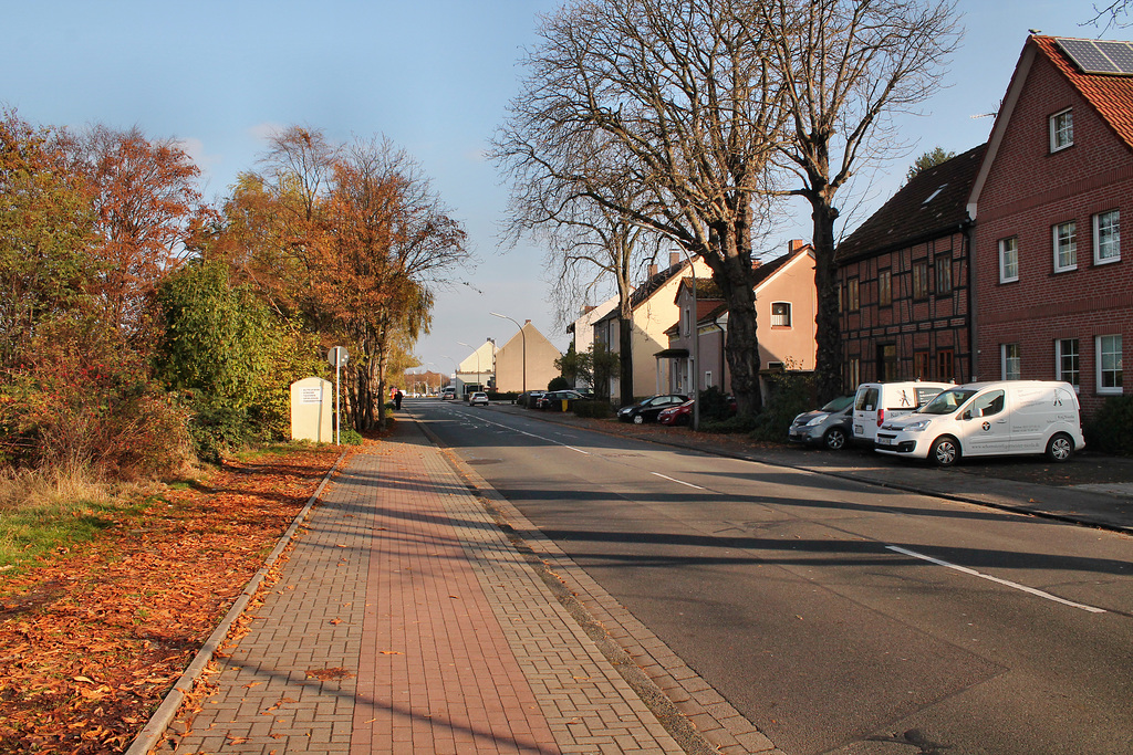 Altwickeder Hellweg (Dortmund-Wickede) / 12.11.2016