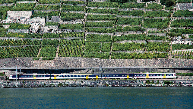 960000 Lavaux NTN