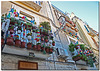 coloured balconies