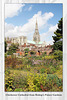 Chichester Cathedral from Bishop's Palace Gardens 6 8 2014