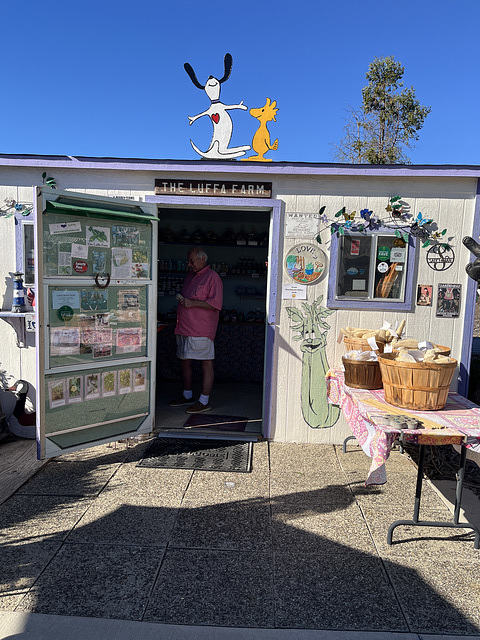 The Luffa Farm