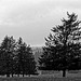 20250524-20250525_Benneckenstein+Wanderung Tanne bis Elbingerode