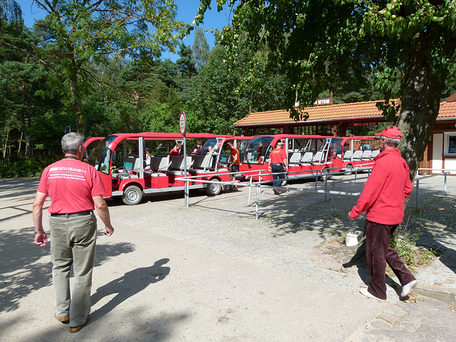 Mit Elektrowagen durch den Slowinski Nationalpark