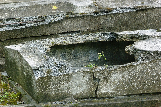 Les tombes meurent aussi (6)