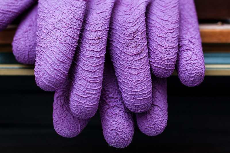 Purple Gloves