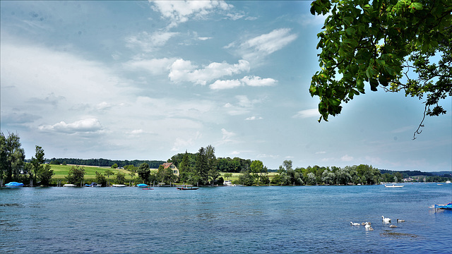 Rhein bei Büsingen (Deutsche Enklave)