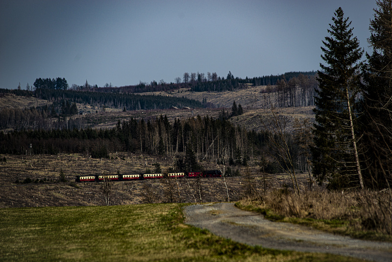 20240319_benneckenstein_spaziergang (d800)