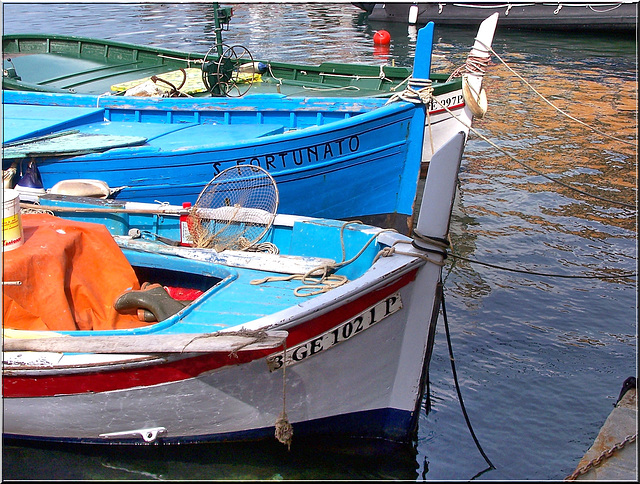 Colori e riflessi nel porto di Camogli