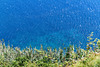 Calheta, Madeira, Portugal