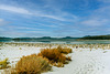 Winter at Mono Lake 1989 (105°)