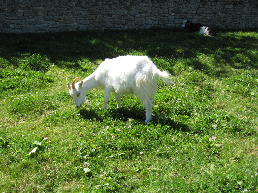 PUY DU FOU 2016