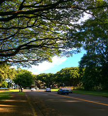 A Street scene, Hilo Hawai