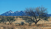 The Santa Rita Mountains