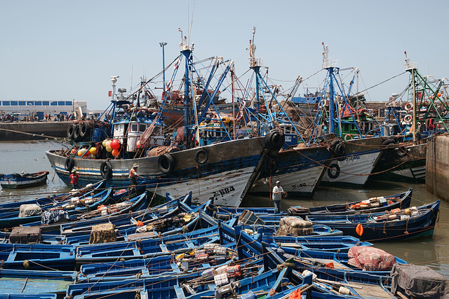 Fishing Boats In Essaouira Harbour