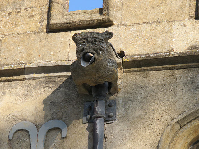 empingham church, rutland   (7) c15 gargoyle