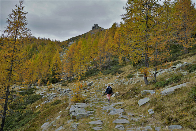 Alpe Salei, Val Onsernone / Tessin Okt 21