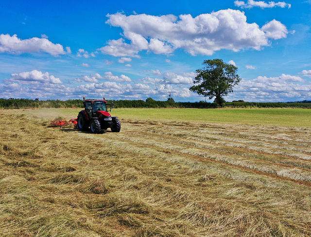 Turning the hay