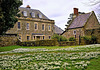 Shaftesbury Snowdrops.