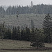 20250524-20250525_Benneckenstein+Wanderung Tanne bis Elbingerode