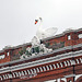 The Boston Swan