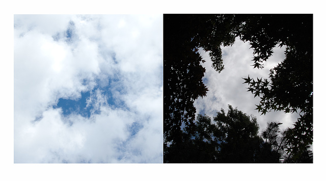 cloud diptych  -  SSC