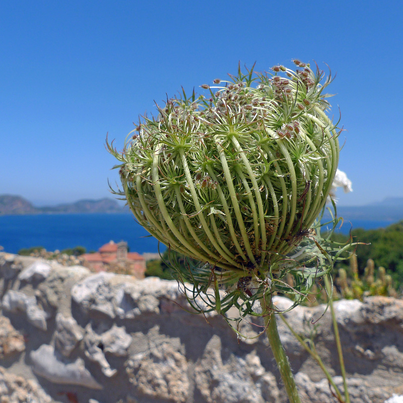 Greece - Pylos, Neokastro