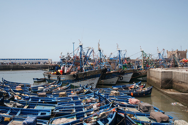 Fishing Boats In Essaouira Harbour