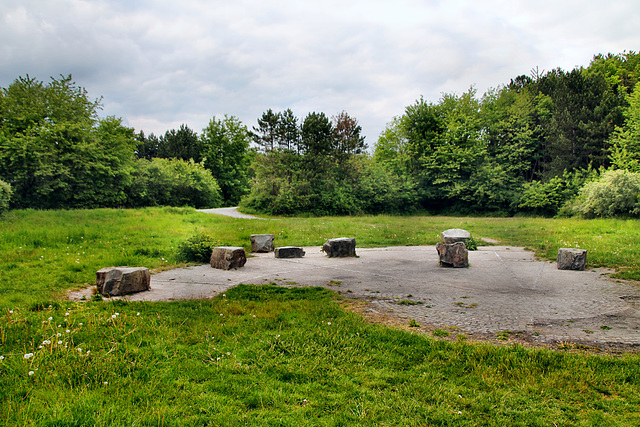 Das "grüne Klassenzimmer" auf der Halde Ewald Fortsetzung (Oer-Erkenschwick) / 12.05.2020