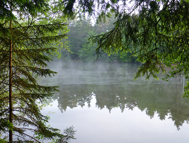 Gesichter der Braunkohle - Silbersee