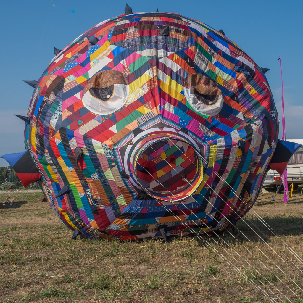 Drachenfest in Lemwerder