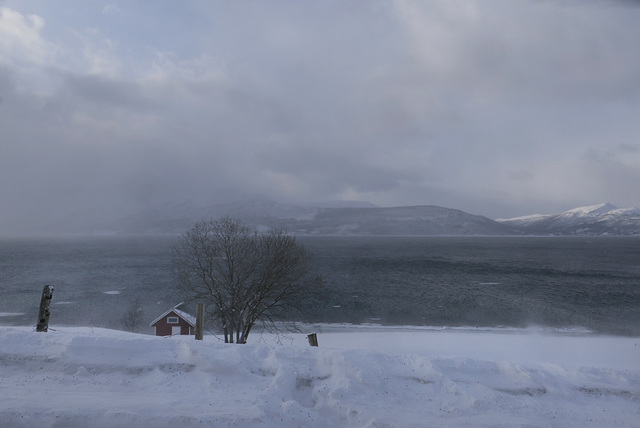 Lapland, Snow-storm