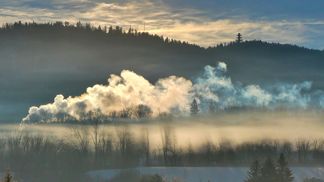 P1420954- Brume et "fumée" - Jardin.  03 février 2022