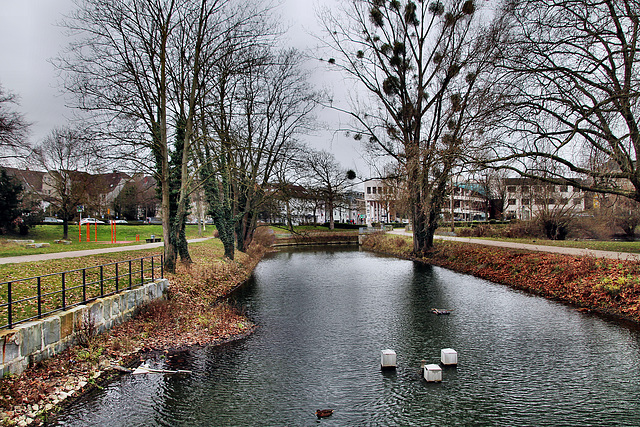 Teich im Nordringpark, ehemals Lippeverlauf (Hamm) / 16.12.2023