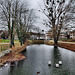 Teich im Nordringpark, ehemals Lippeverlauf (Hamm) / 16.12.2023